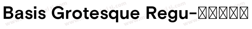 Basis Grotesque Regu字体转换